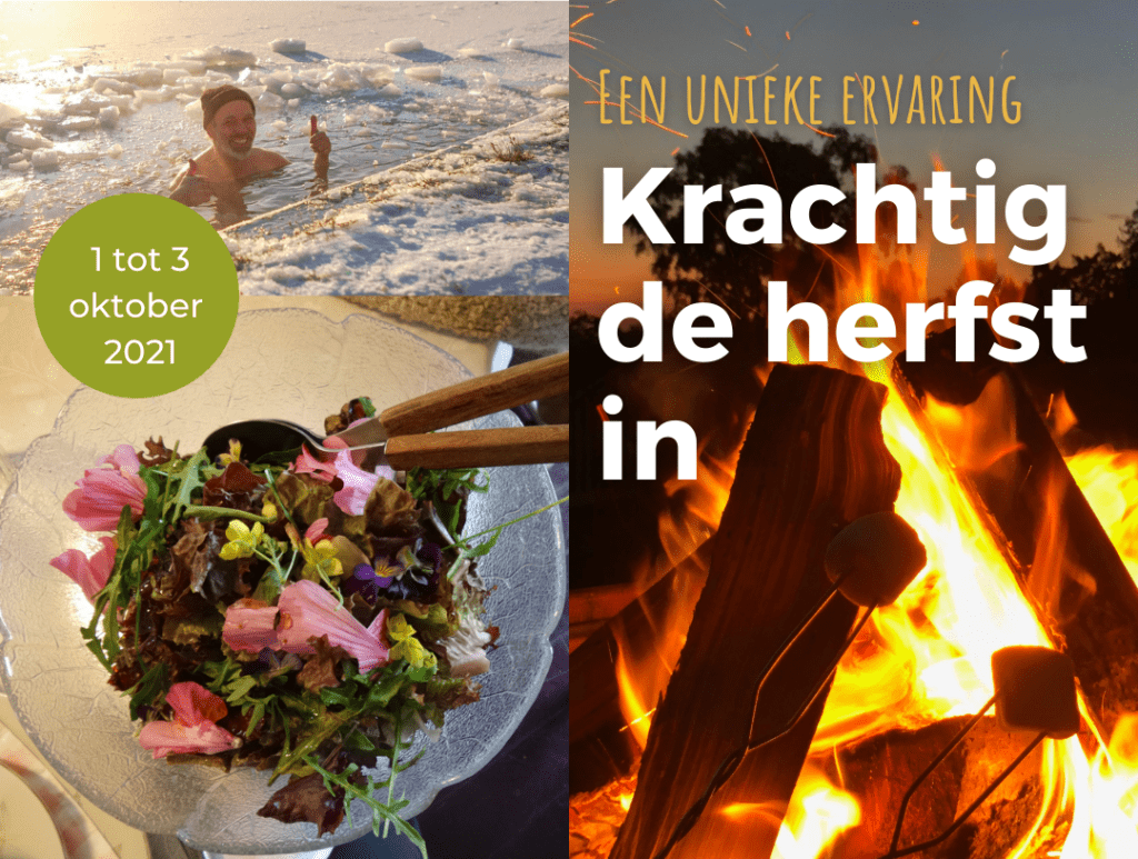 Weekendretreat ‘Krachtig de herfst in’