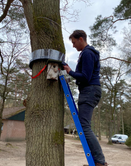 Bestrijding van eikenprocessierupsen