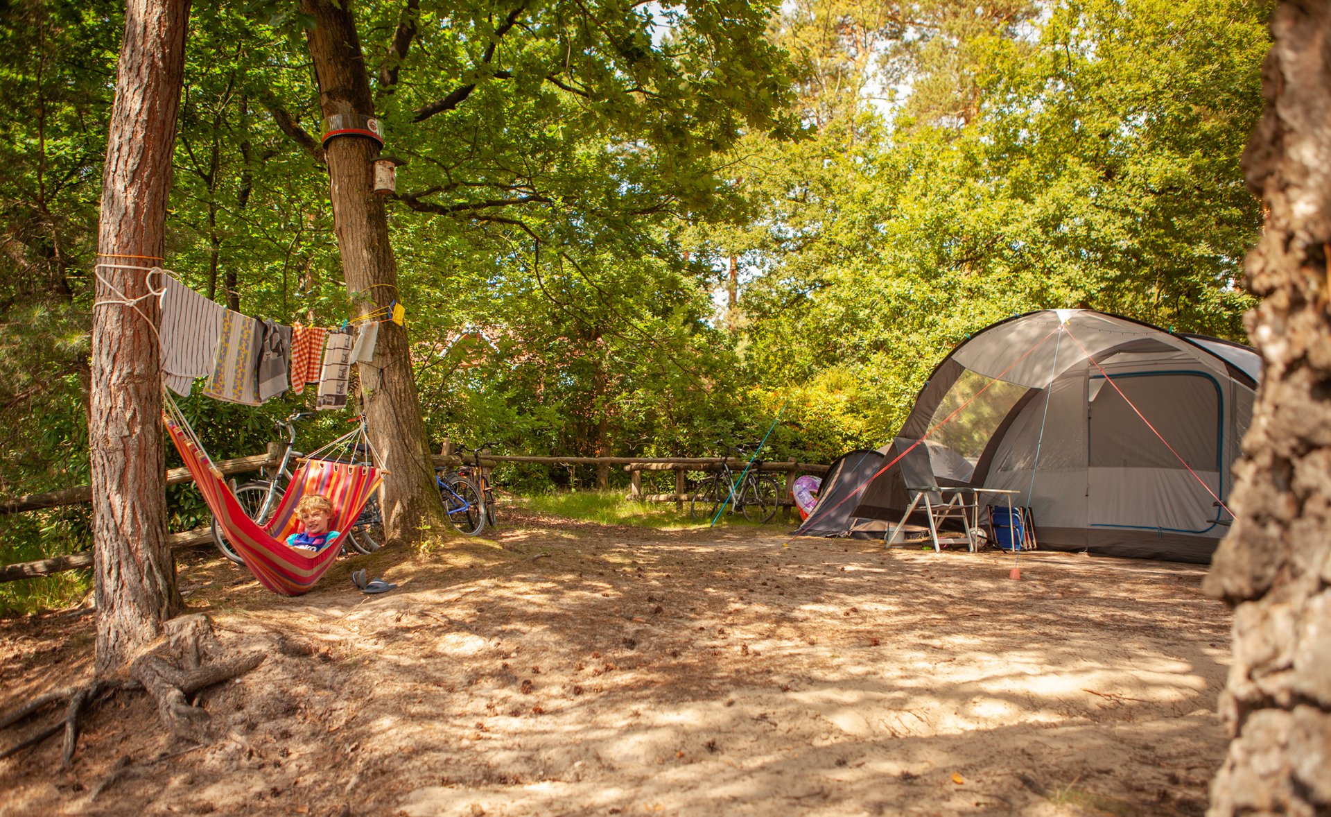 Spätsommer in der Natur bei Naturcampingplatz Het Meulemand