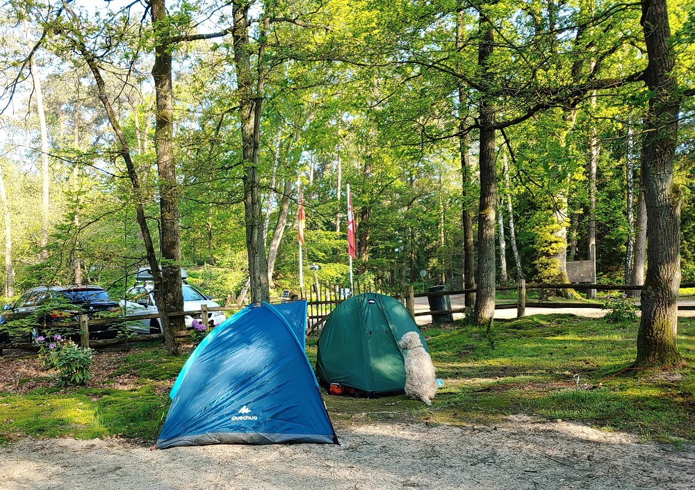 Durchgangsplatz (1-3 Personen) | Landgoedcamping Het Meuleman
