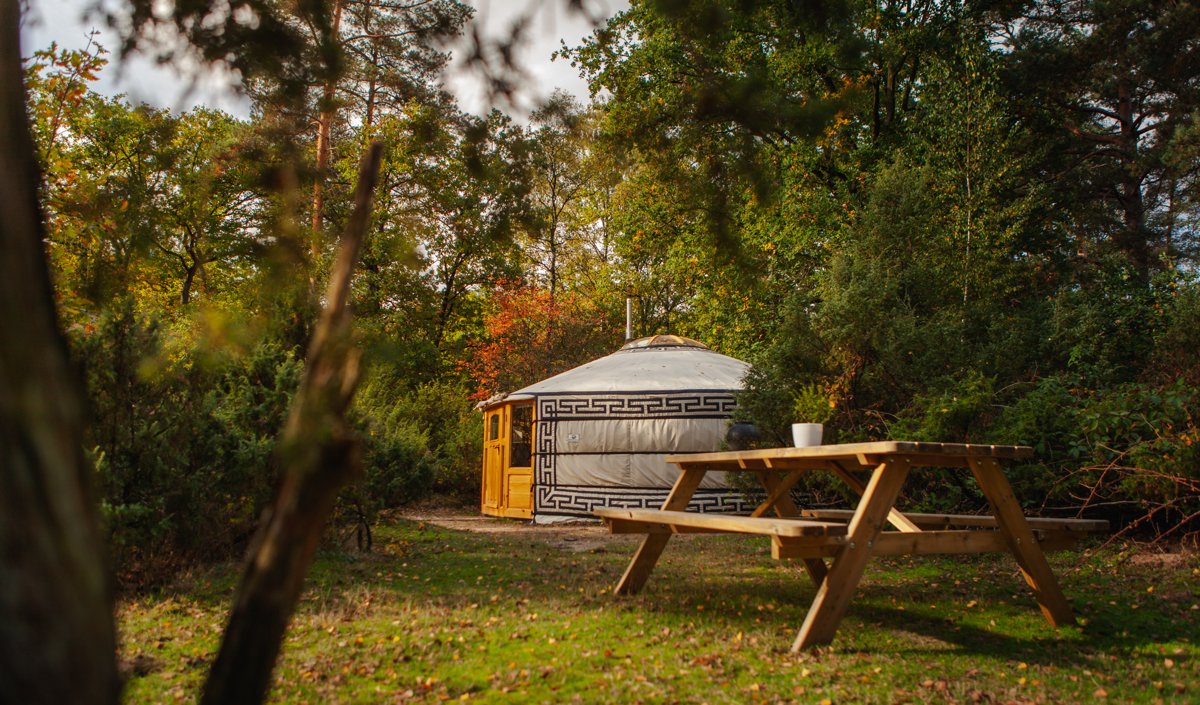 Verbringe die Herbstferien in Twente