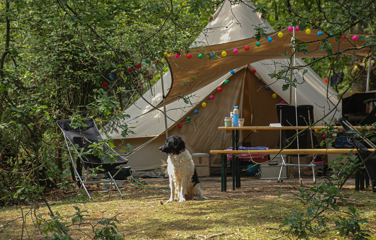 Theaterfestival Groond Landgoecamping Het Meuleman