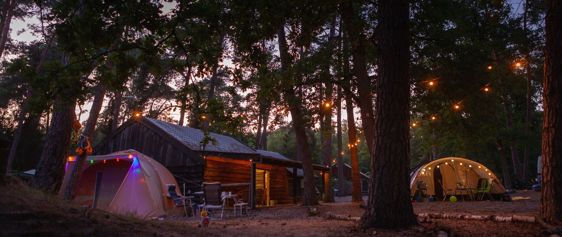 Spätsommer in der Natur bei Naturcampingplatz Het Meulemand