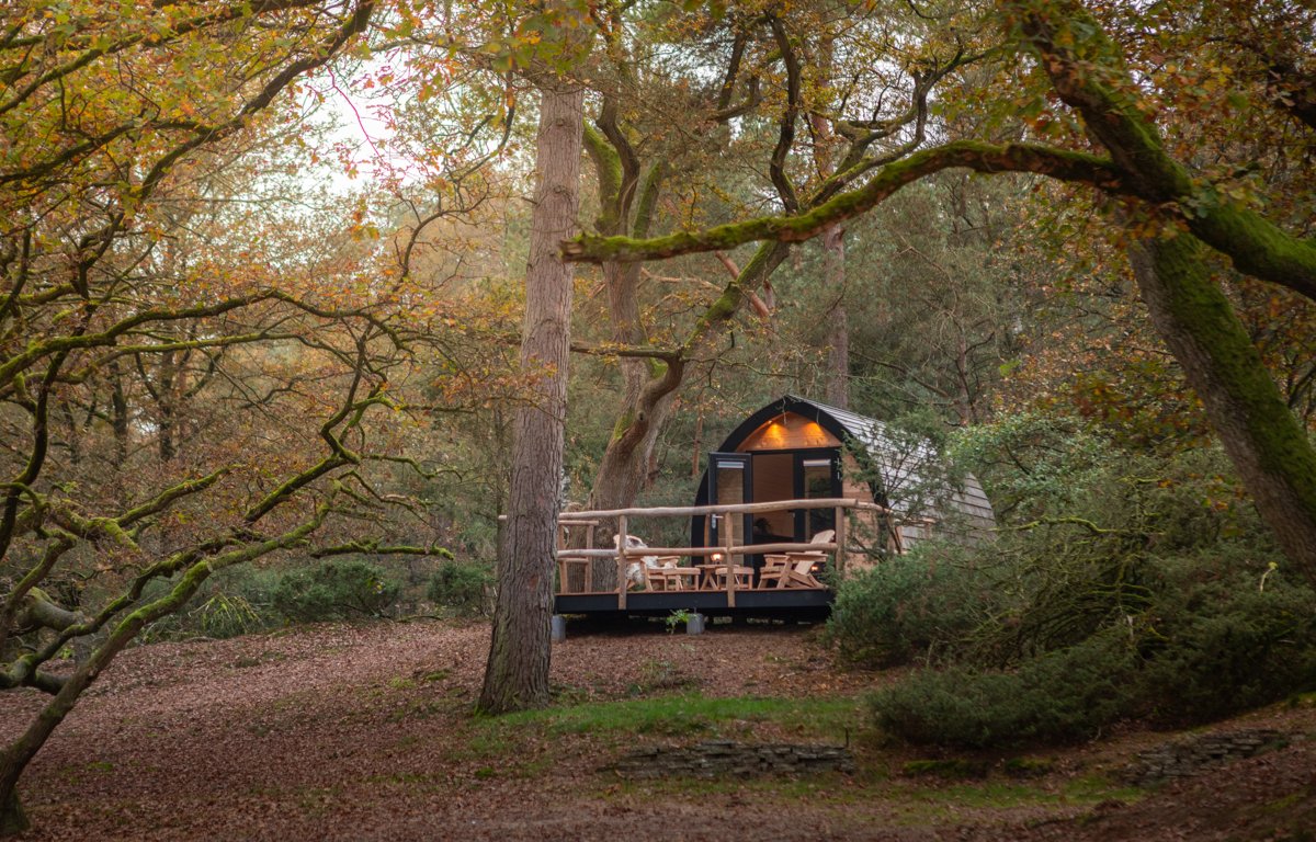 Natuurpod met eigen terras | Landgoedcamping Het Meuleman