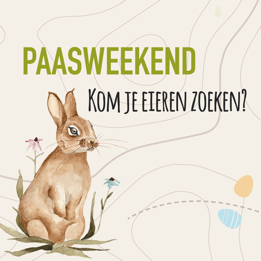 1ste paasdag: paaseieren zoeken