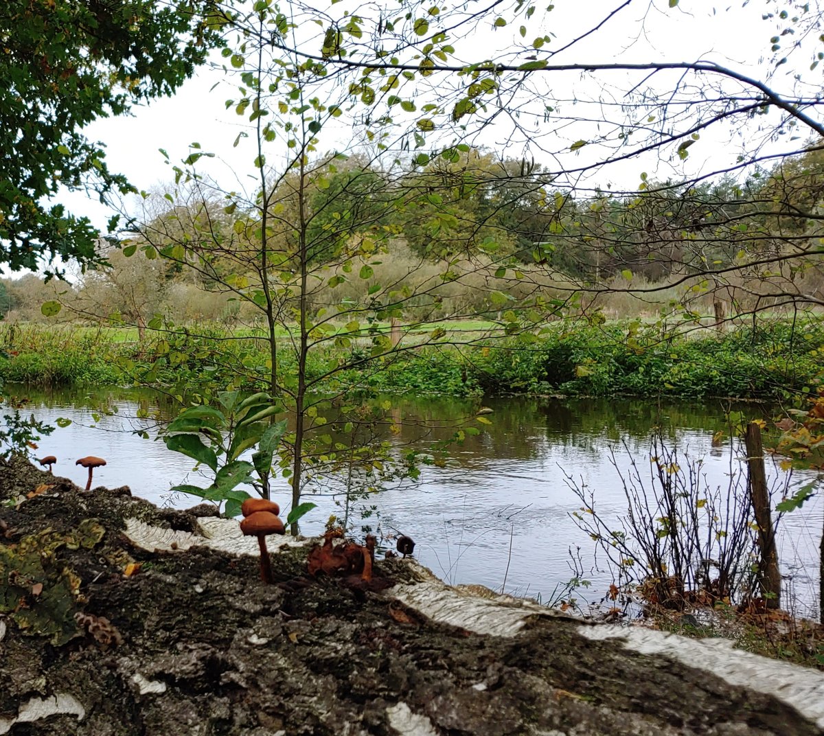 Start deinen Erkundungstouren im Naturschutzgebiet Lutterzand