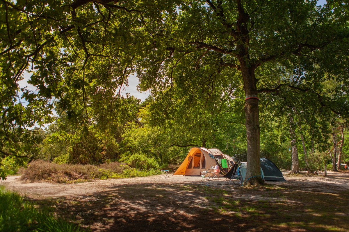 Nog geen plannen in de zomervakantie?