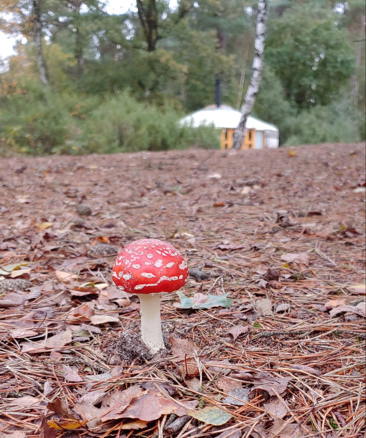 Mooie blog over wandelen - en slapen in onze yurt!