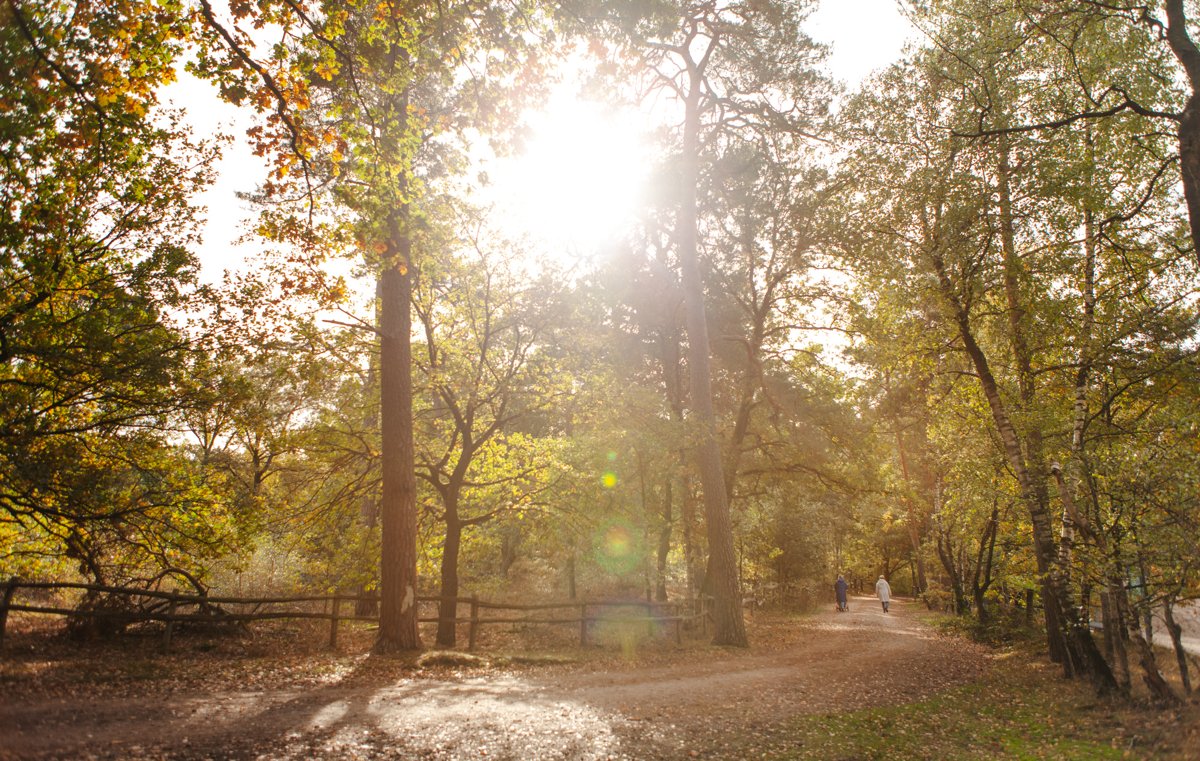 Kamperen bij Landgoedcamping Het Meuleman