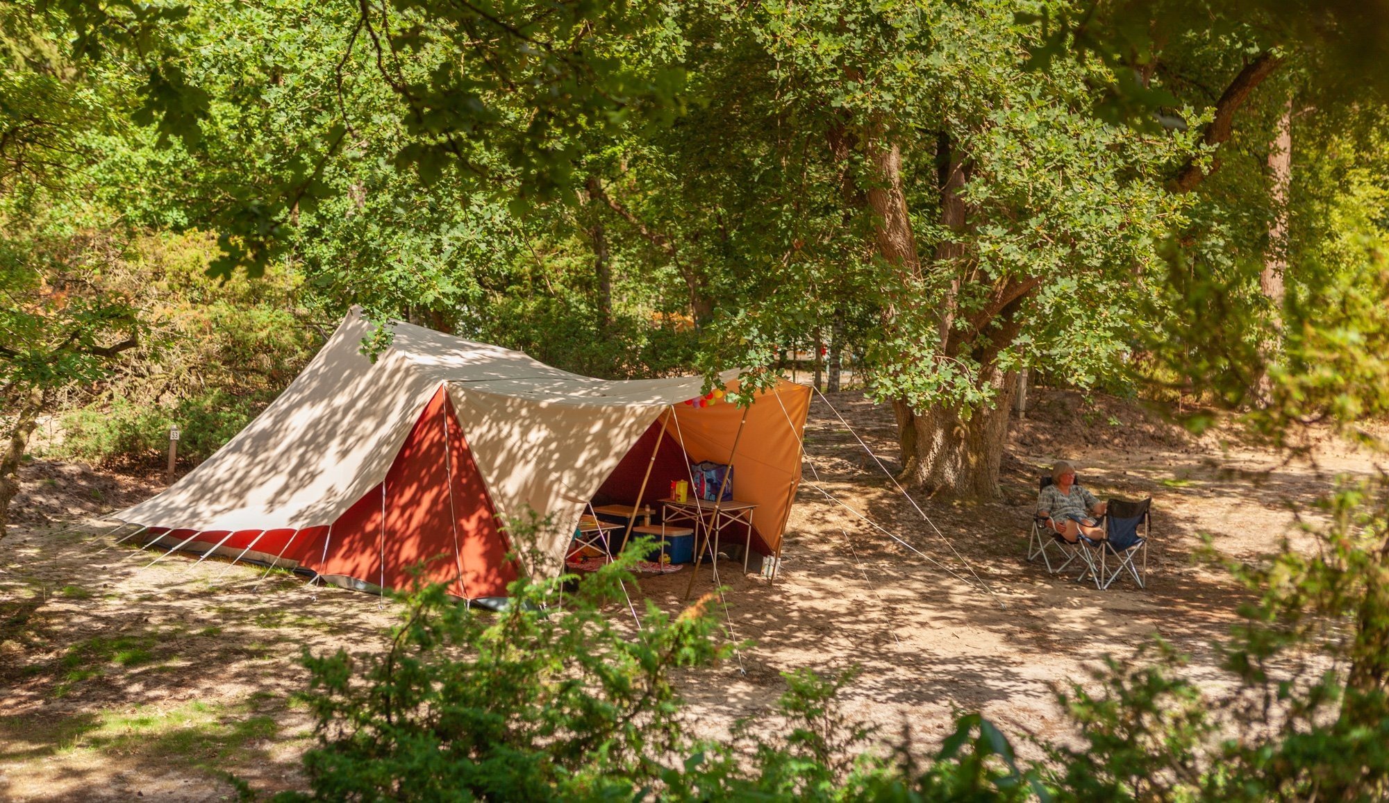 September Arrangement