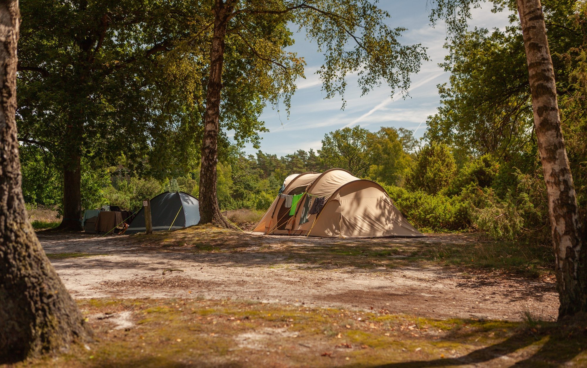 20220720 hetmeuleman robbaas lr 39