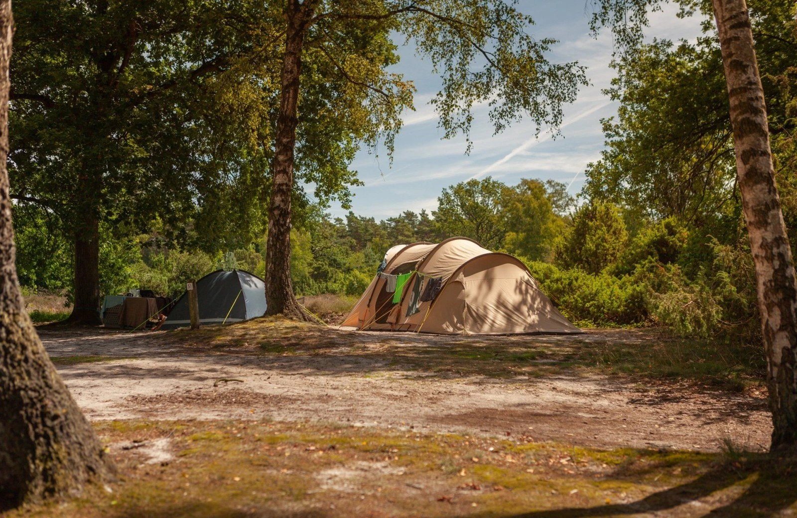 20220720 hetmeuleman robbaas lr 39