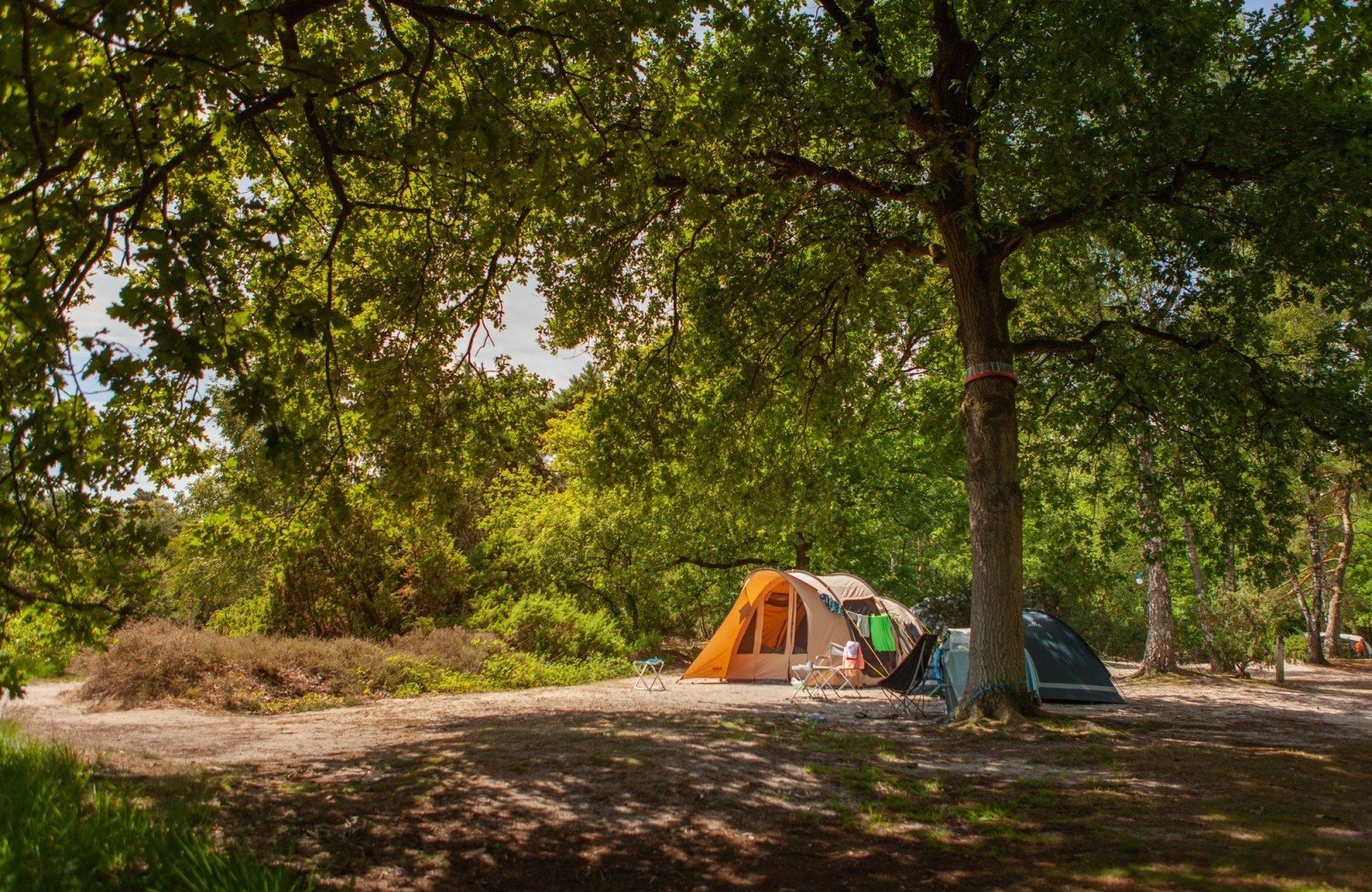 20220720 hetmeuleman robbaas lr 44