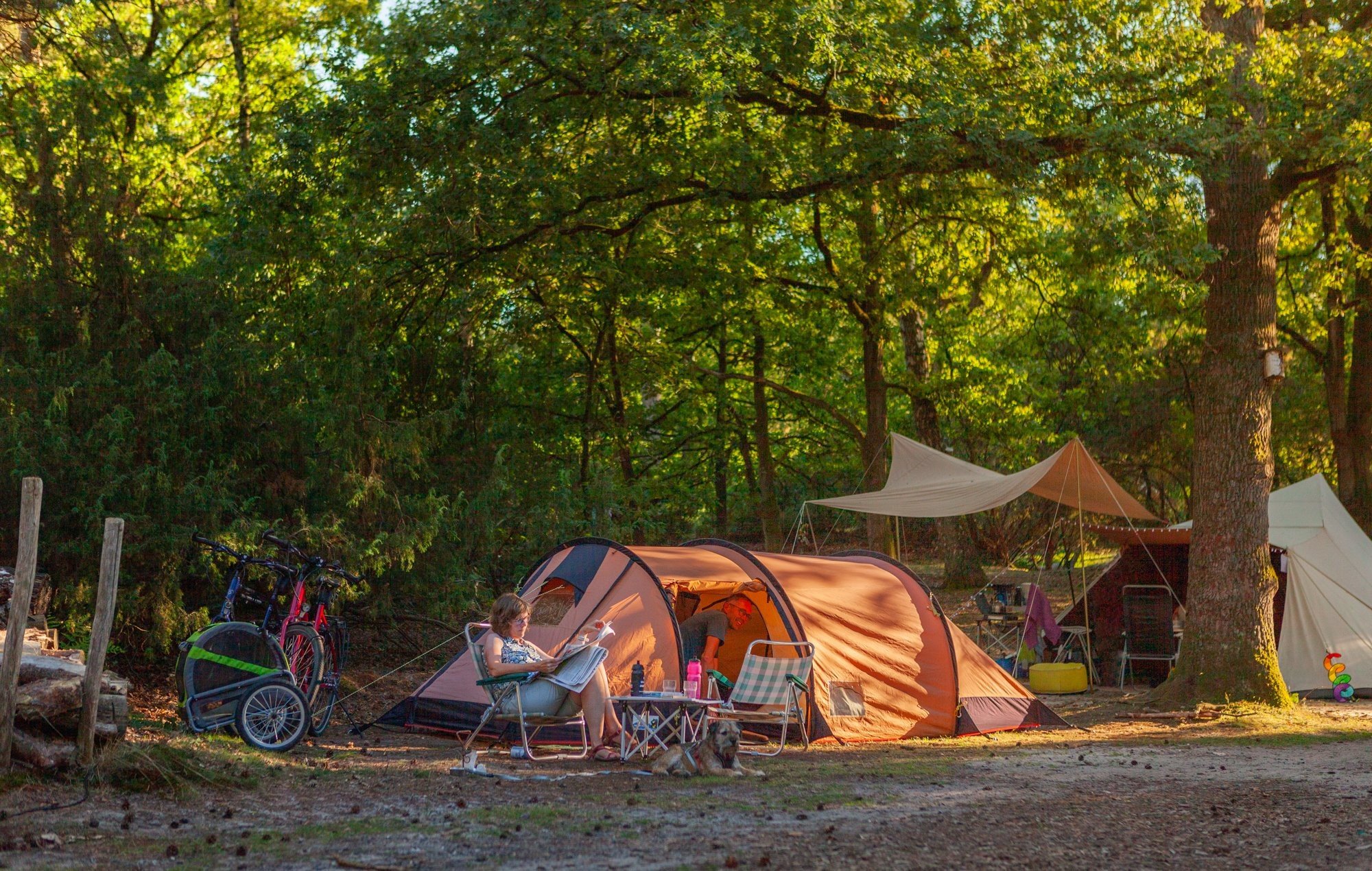 Pfingsten Naturplatz