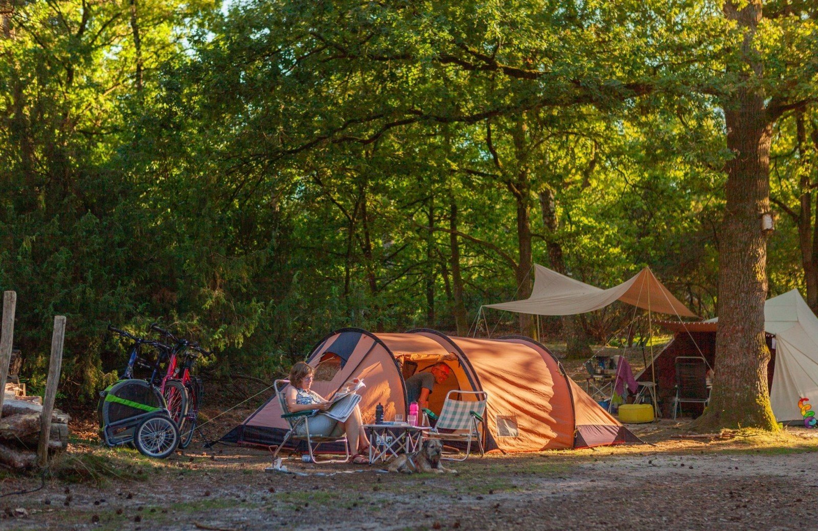 20220811 hetmeuleman lutterzand robbaas lr 28