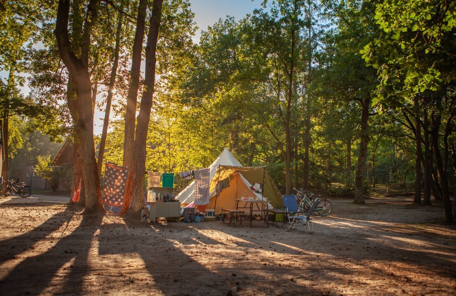 20220811 hetmeuleman lutterzand robbaas lr 33