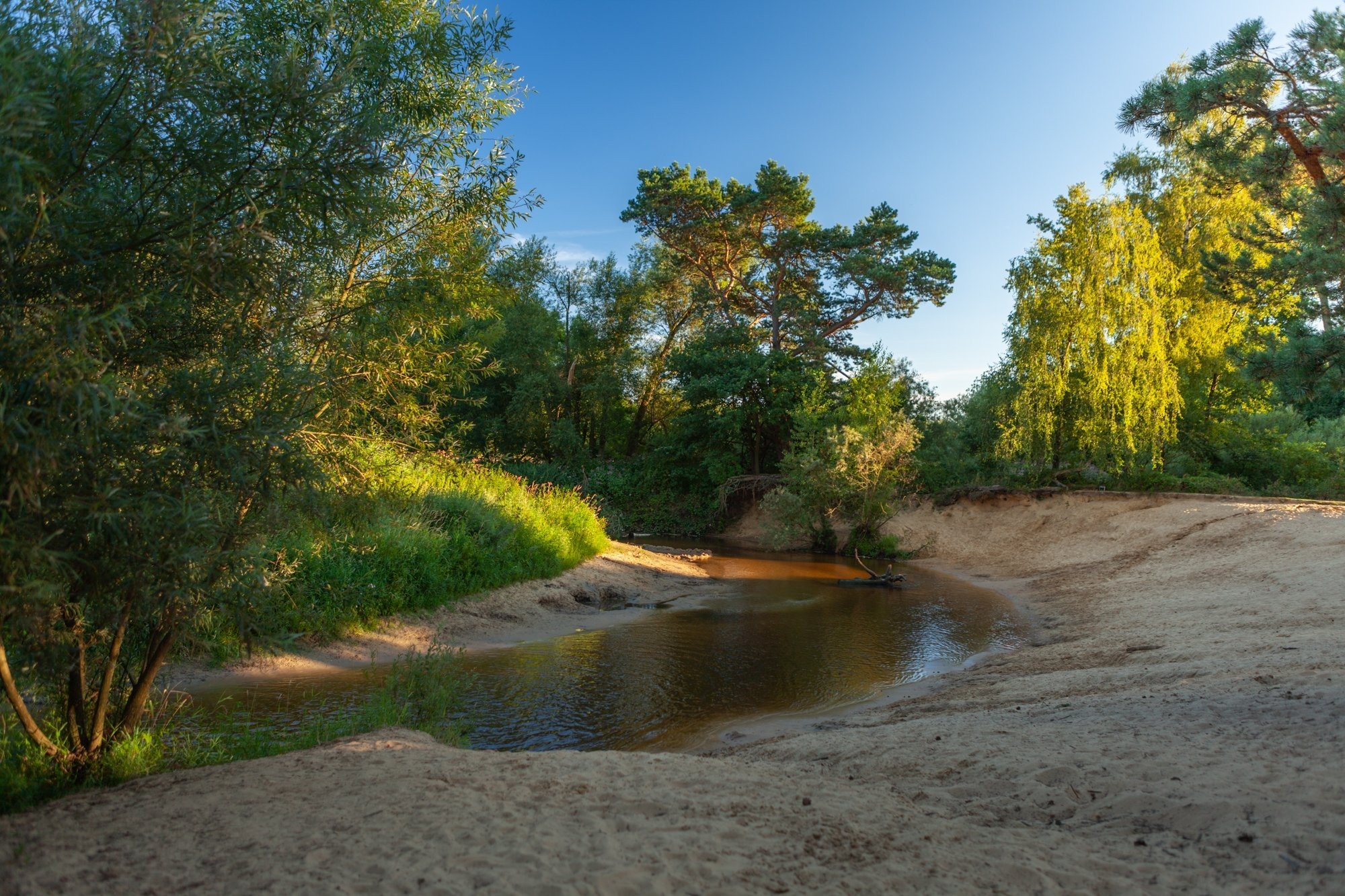20220811 hetmeuleman lutterzand robbaas lr 42