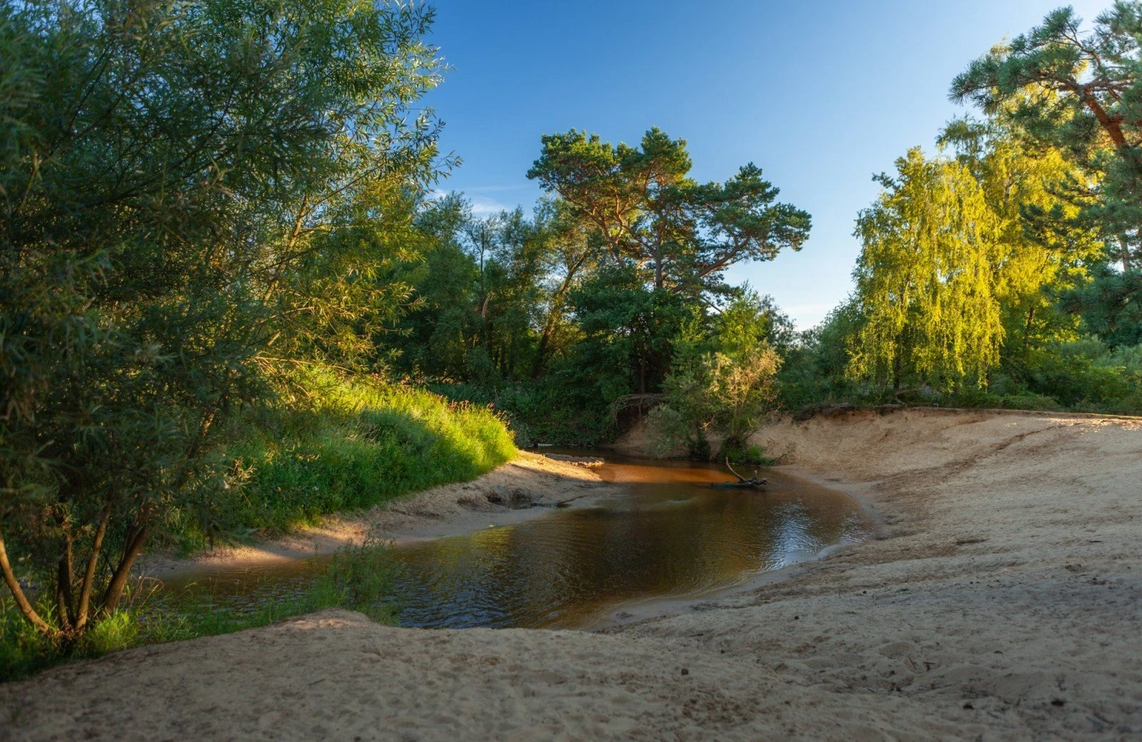 20220811 hetmeuleman lutterzand robbaas lr 42