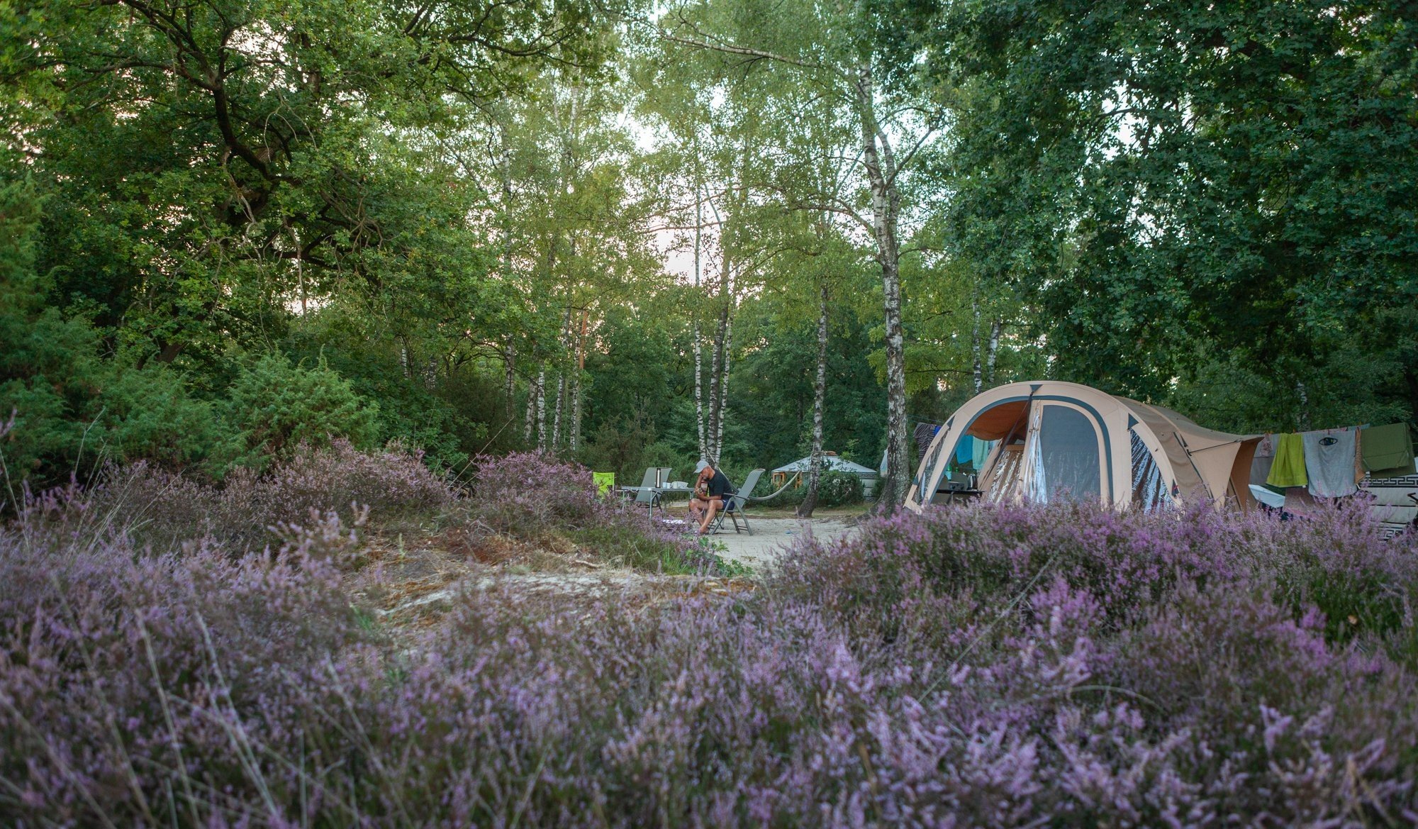 20220811 hetmeuleman lutterzand robbaas lr 54 1