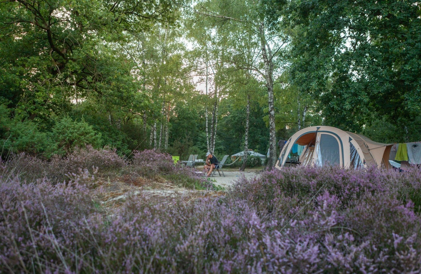 20220811 hetmeuleman lutterzand robbaas lr 54 1