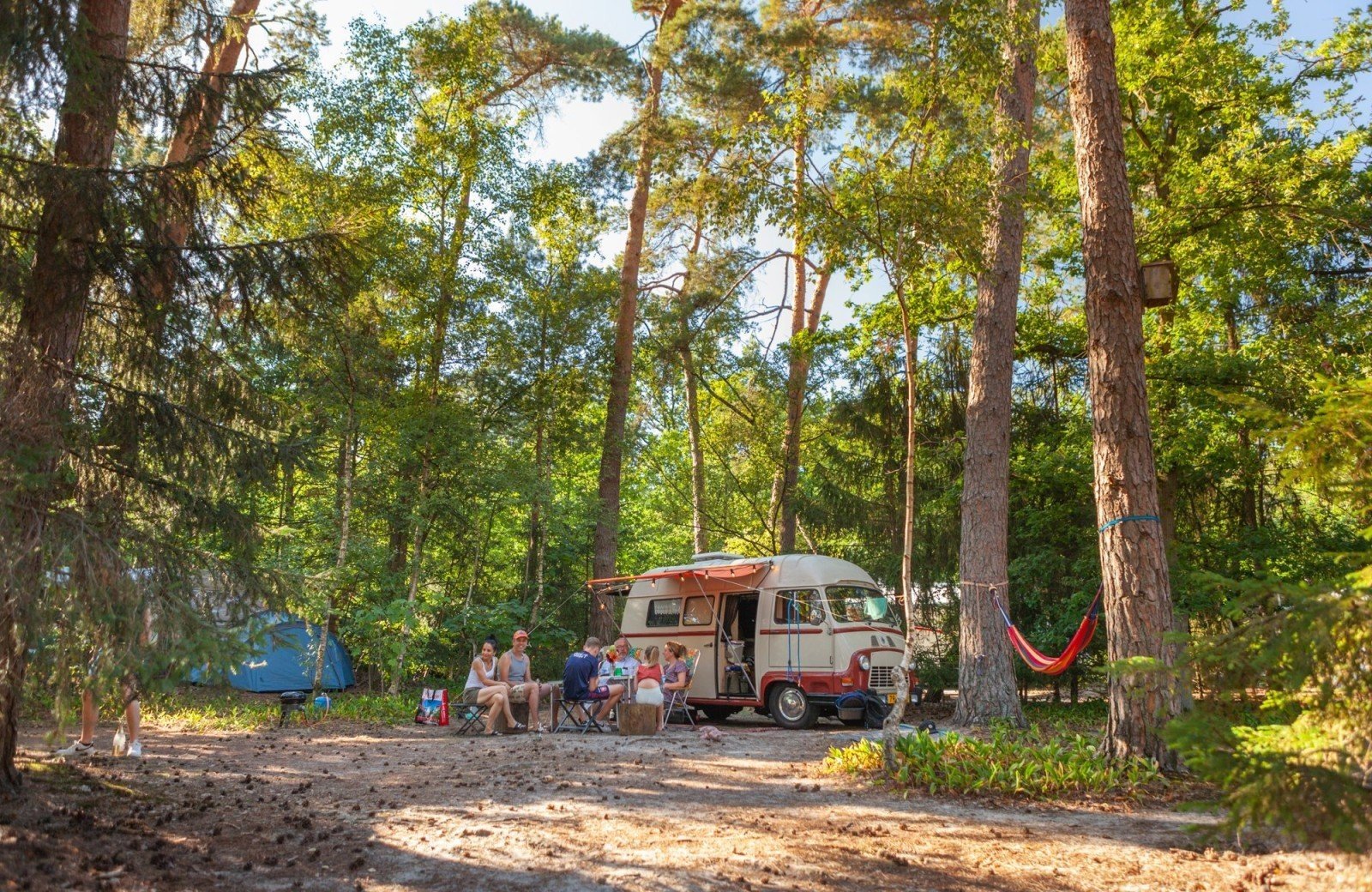 20220811 hetmeuleman lutterzand robbaas lr 6 1