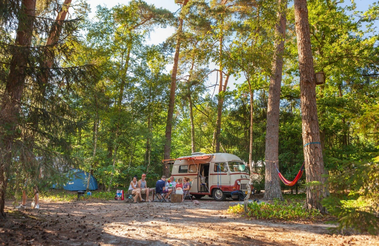 20220811 hetmeuleman lutterzand robbaas lr 6 1