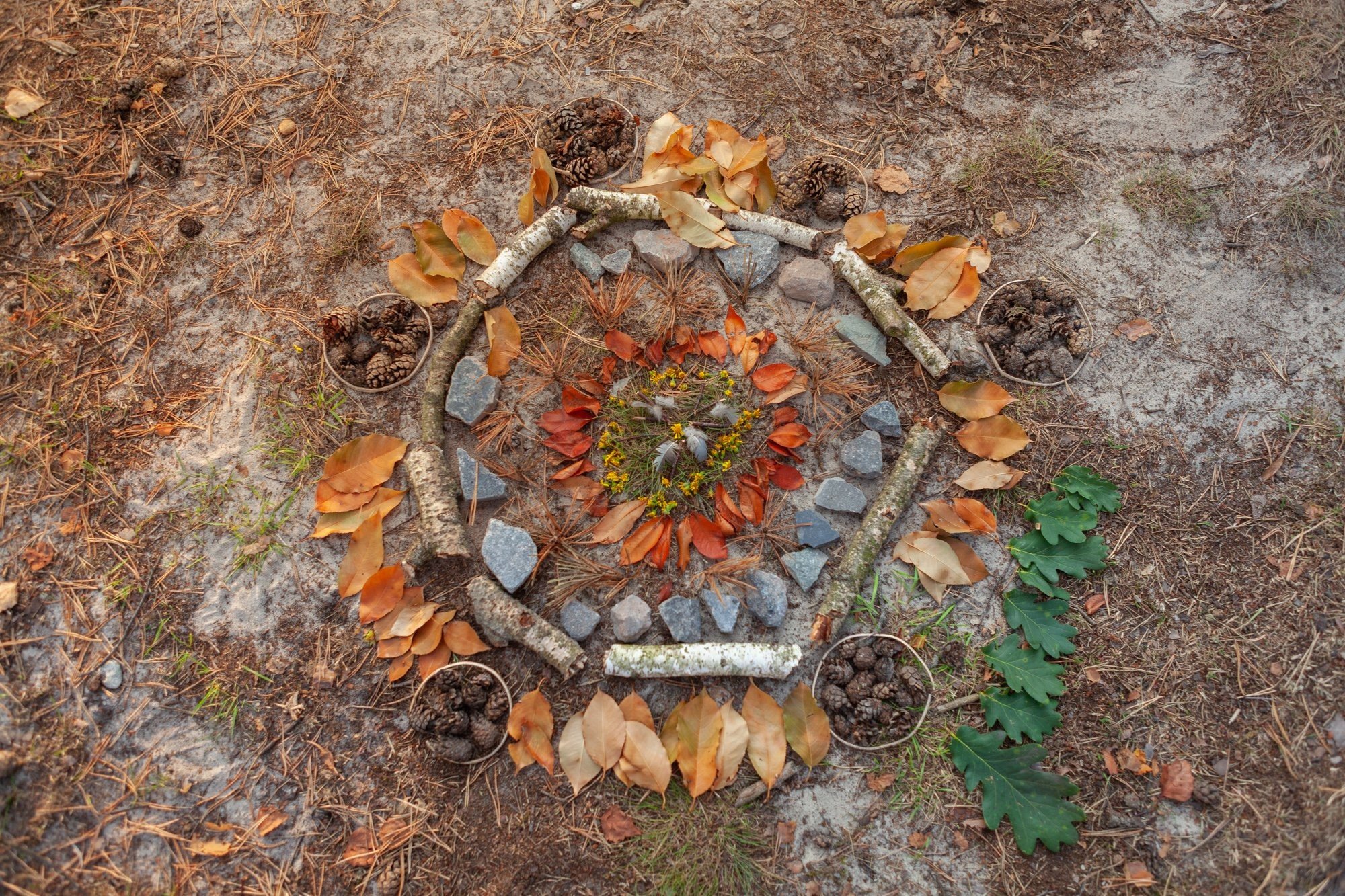 Natuurmandala's maken