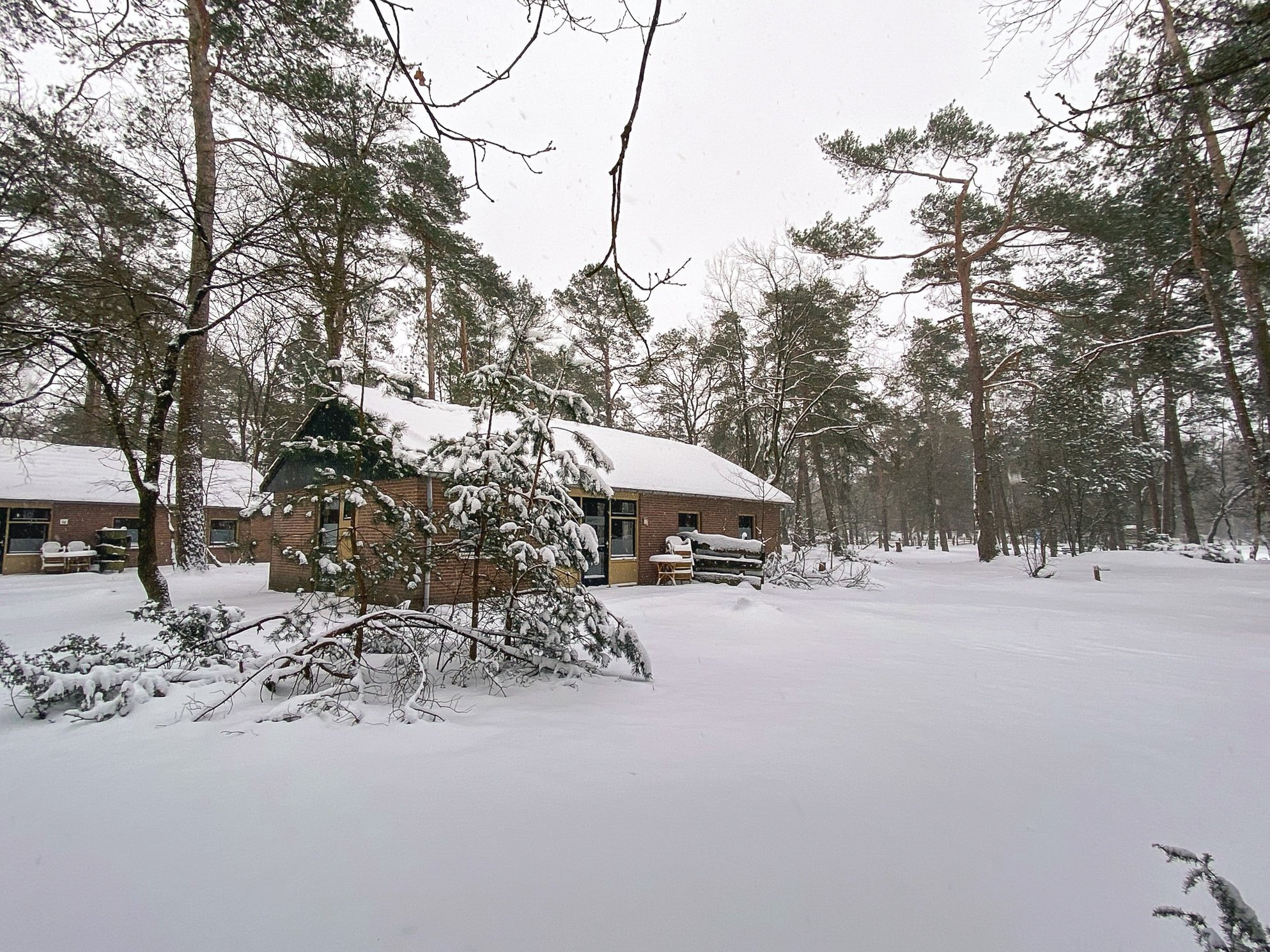 Vier de winter in Twente