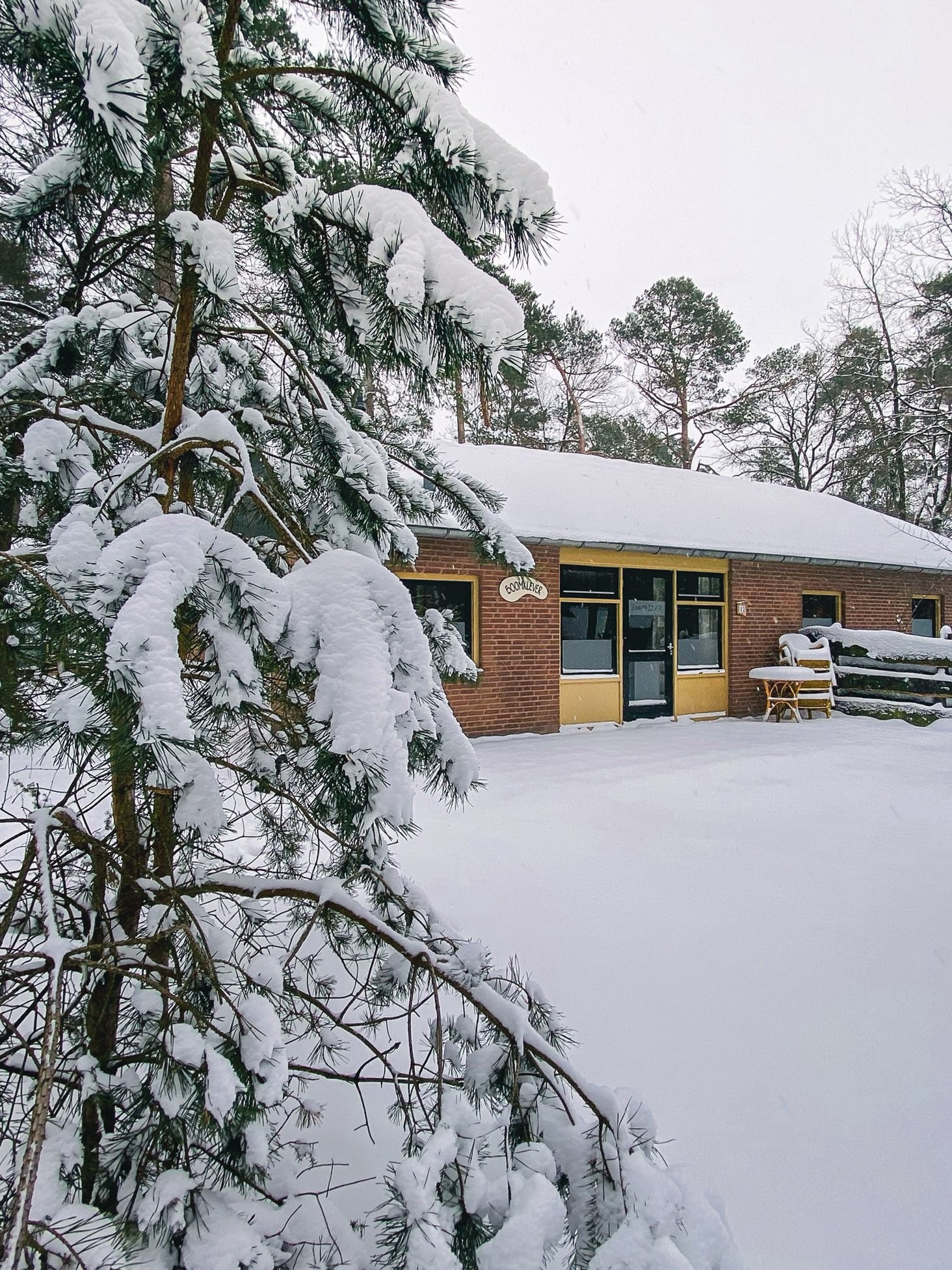 20221014 het meuleman winter lr 7