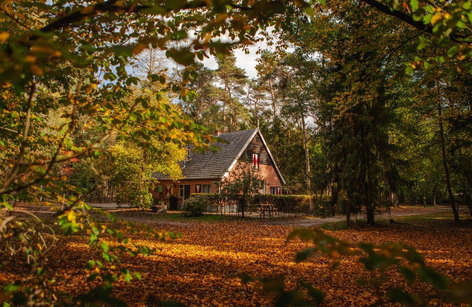 20221020 het meuleman herfst en sanitair lr 21 1