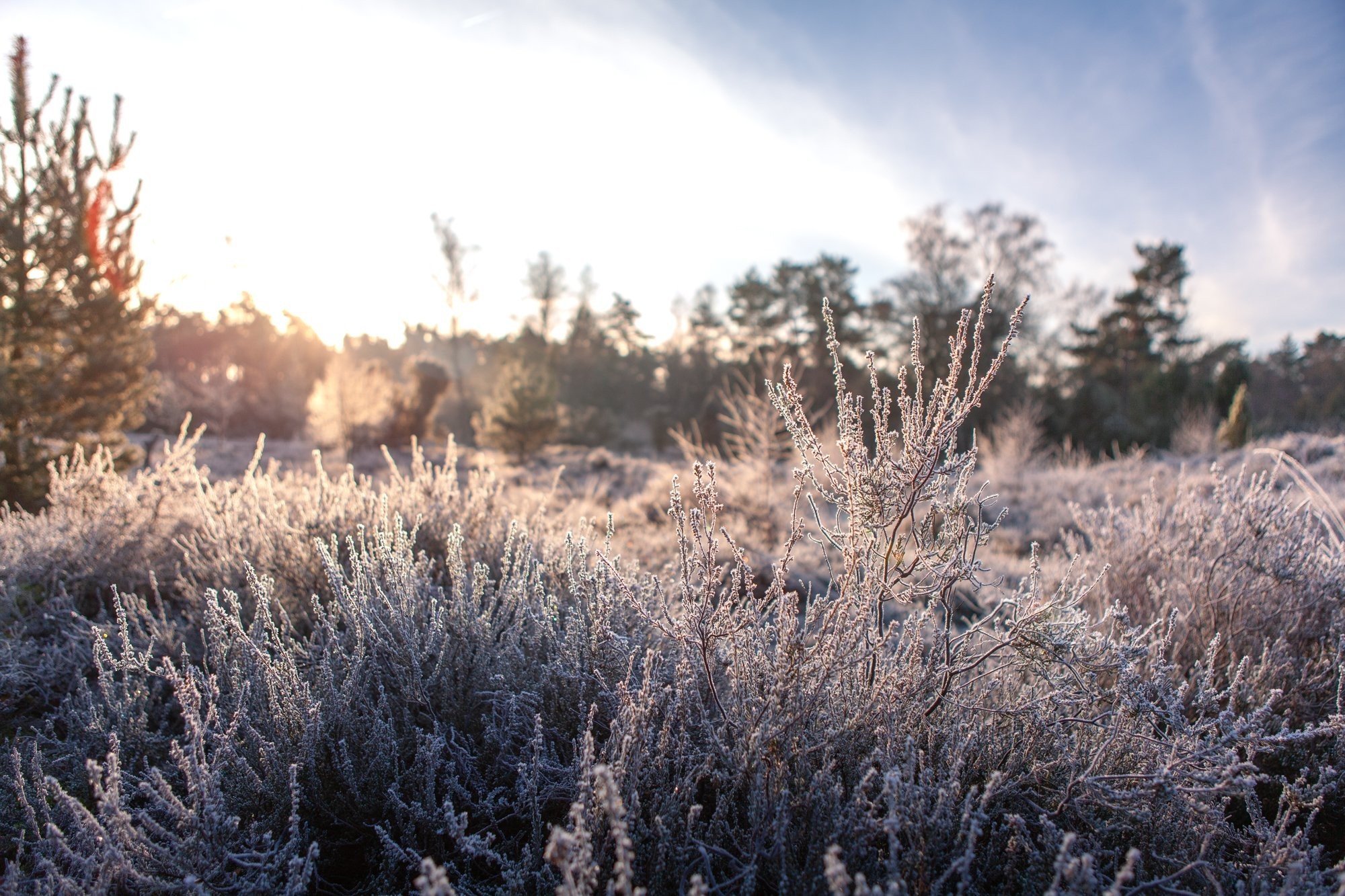20230118 meuleman winteryurts lr robbaas 16