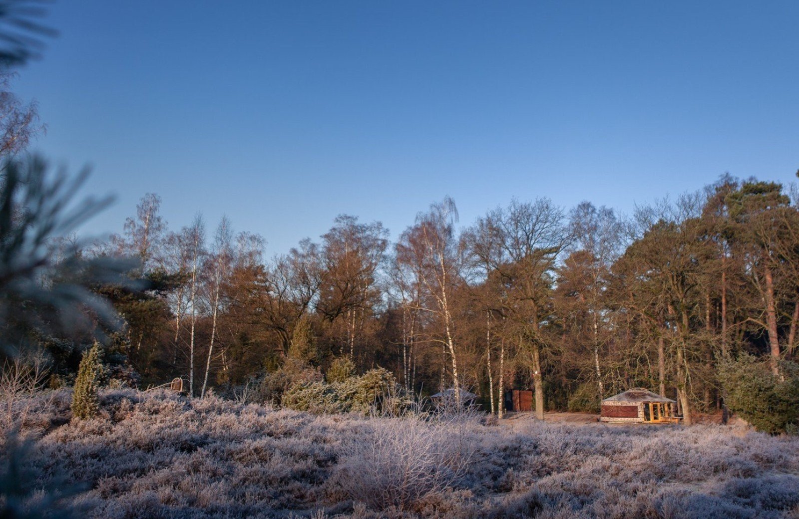 20230118 meuleman winteryurts lr robbaas 22