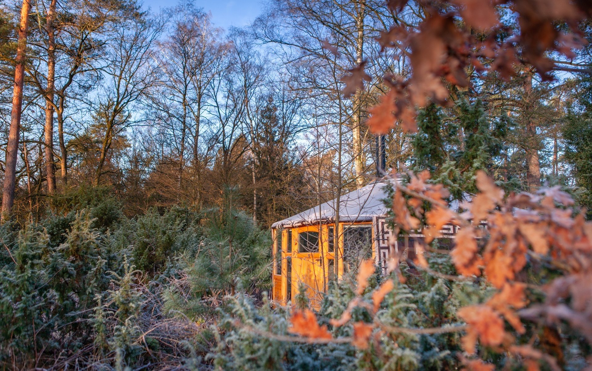 Knusse kerst in het bos