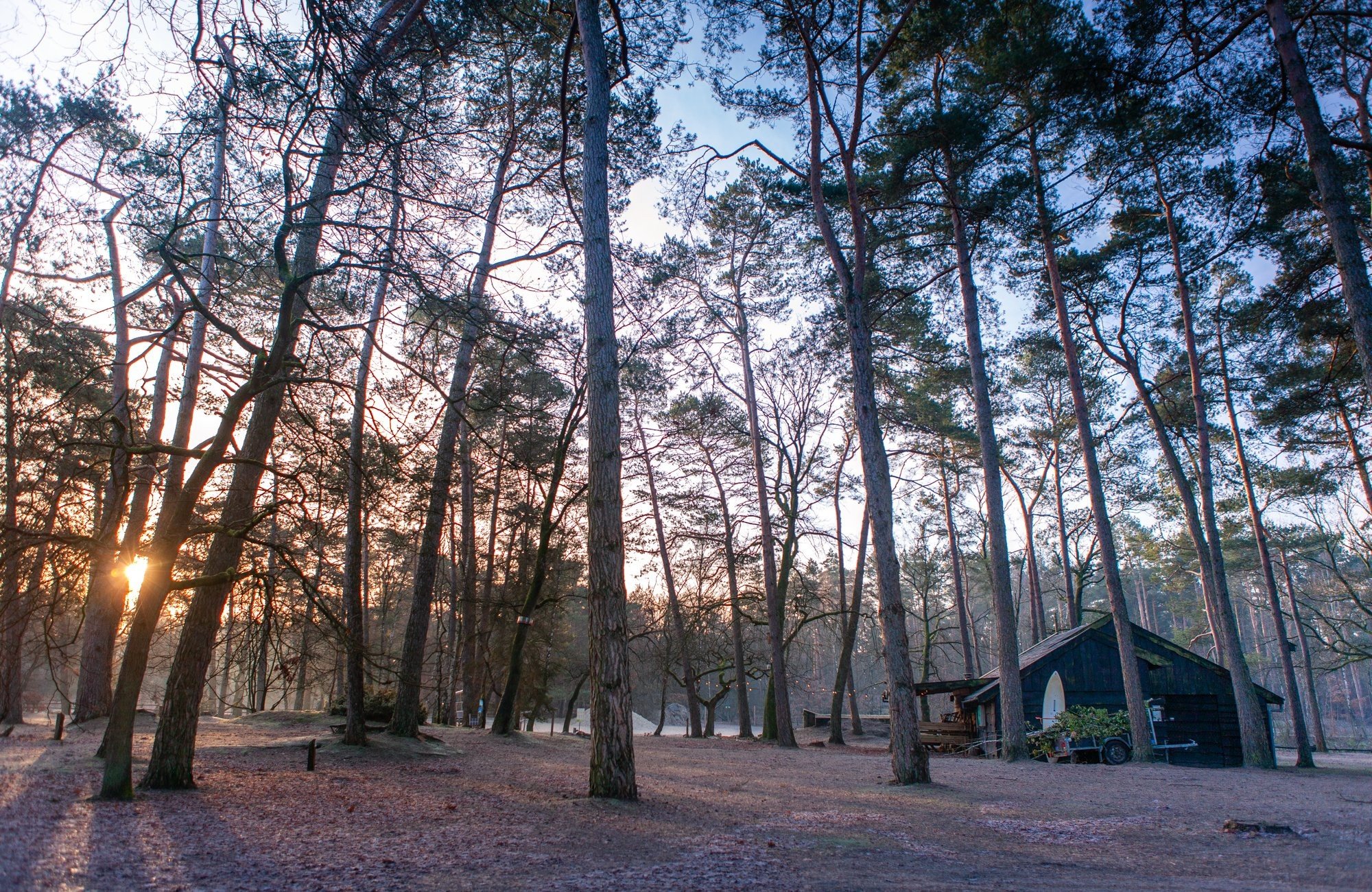 20230118 meuleman winteryurts lr robbaas