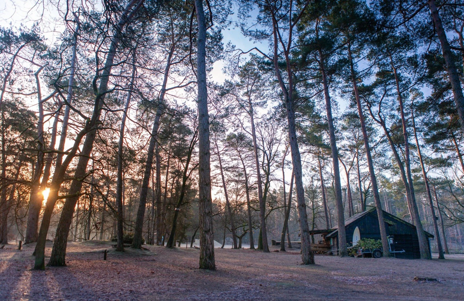 20230118 meuleman winteryurts lr robbaas