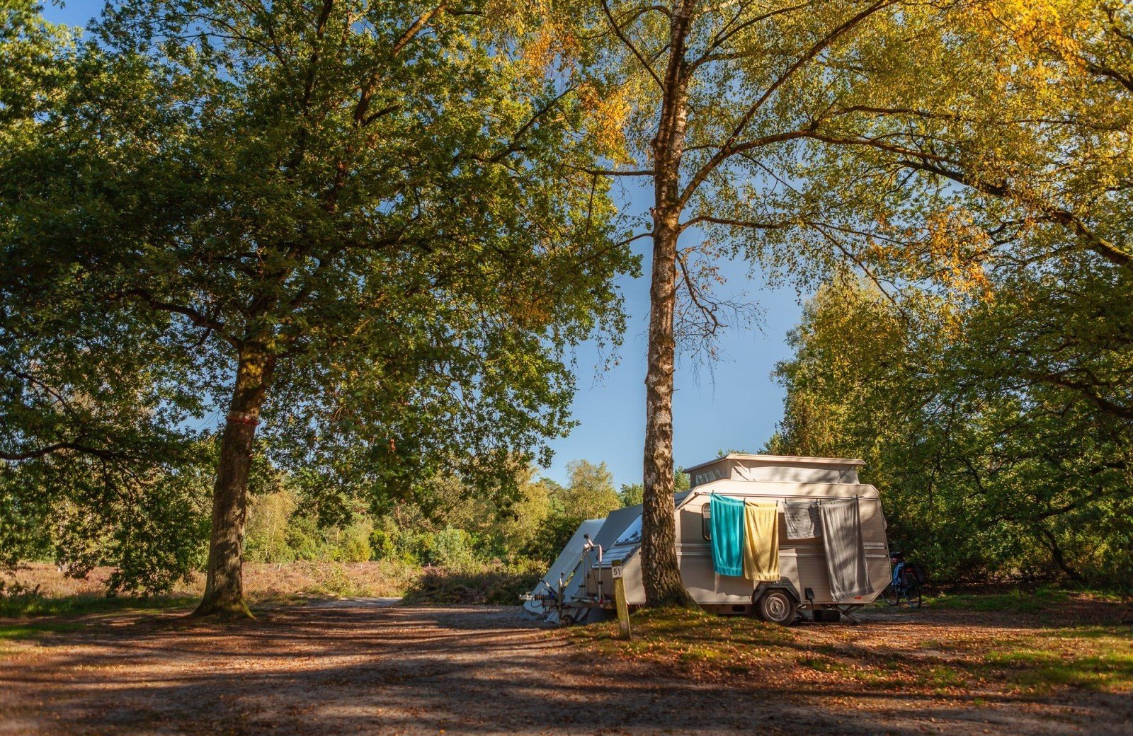 20230909 meuleman nazomer en pizza lr rob baas 22