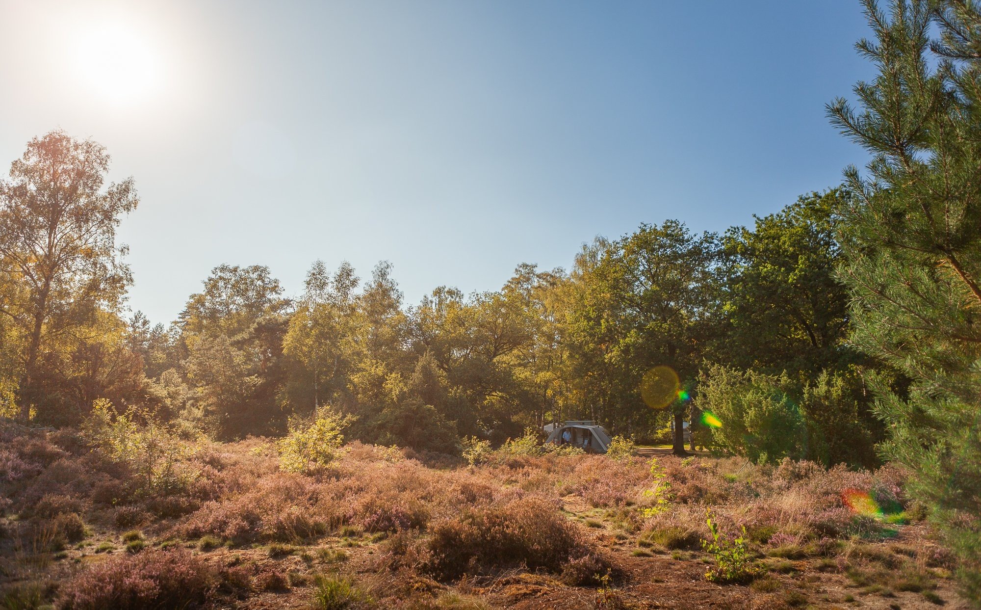 20230909 meuleman nazomer en pizza lr rob baas 23 1