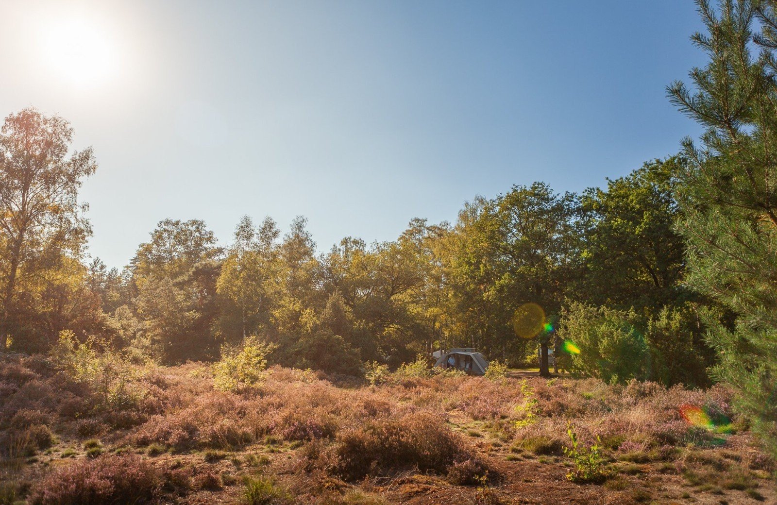 20230909 meuleman nazomer en pizza lr rob baas 23 1