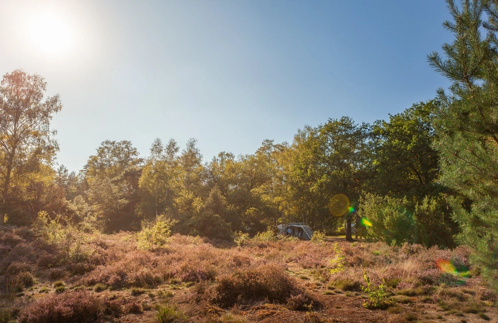 20230909 meuleman nazomer en pizza lr rob baas 23 1