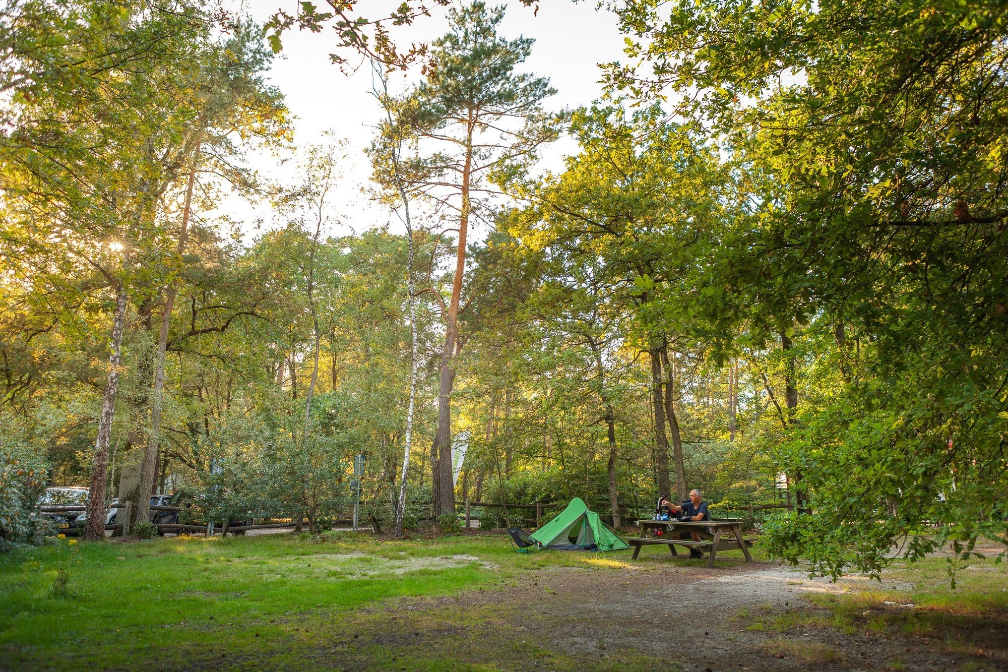 20230909 meuleman nazomer en pizza lr rob baas 40