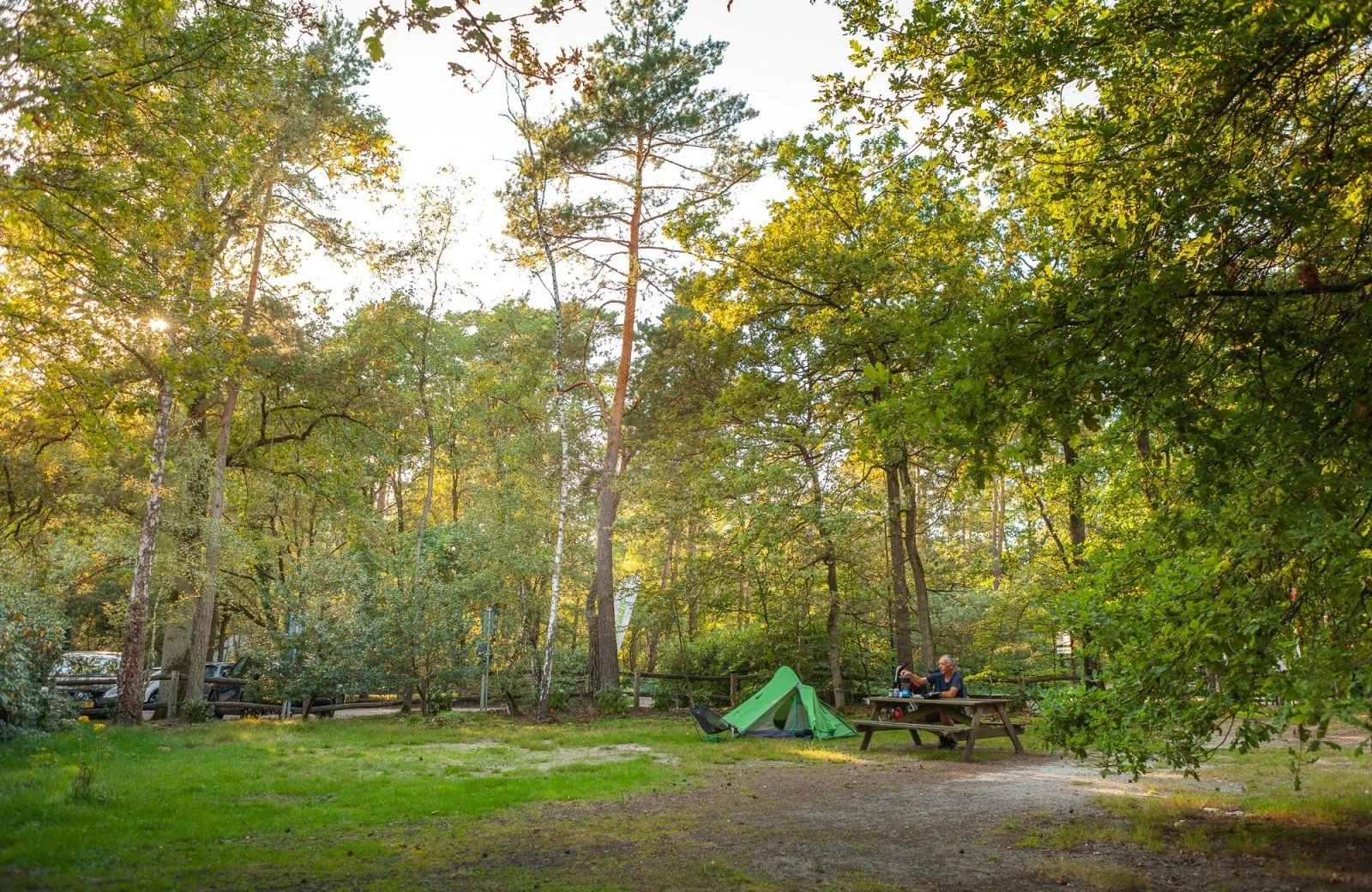 20230909 meuleman nazomer en pizza lr rob baas 40