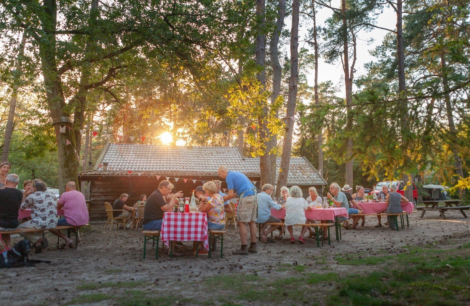 20230909 meuleman nazomer en pizza lr rob baas 51 2