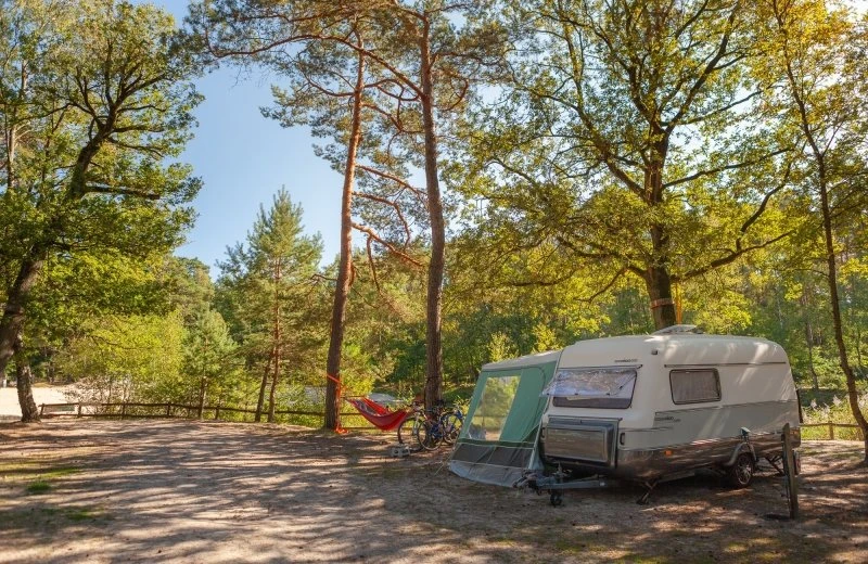 September-Arrangement Badeseeplatz