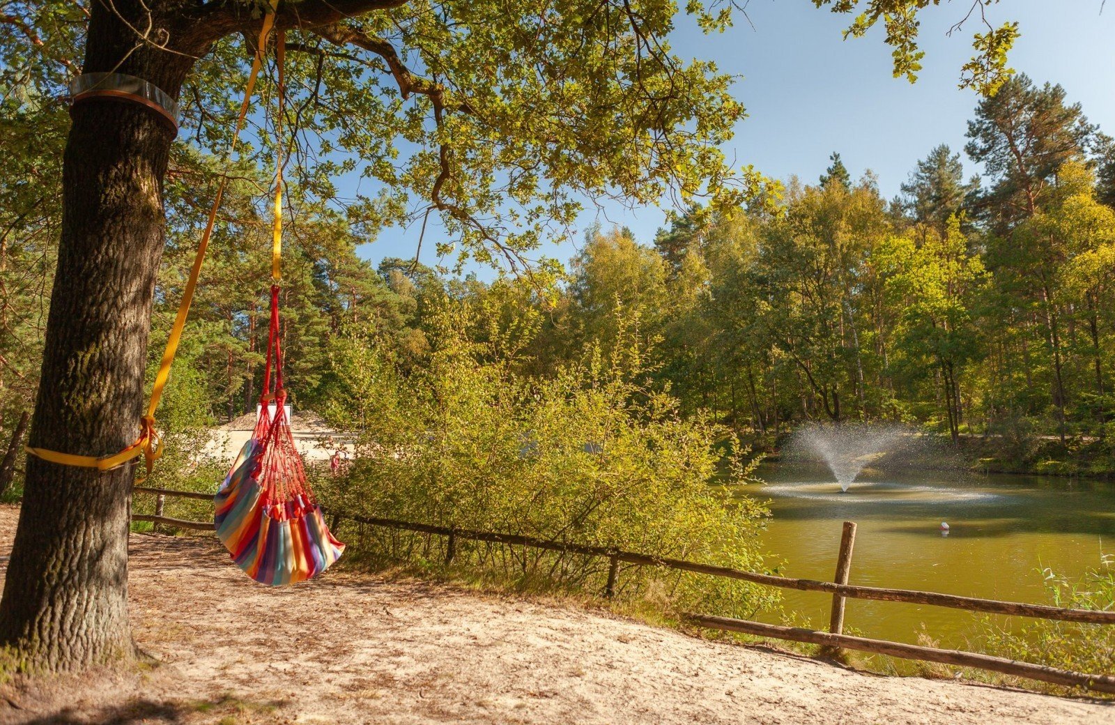 20230909 meuleman nazomer en pizza lr rob baas 8