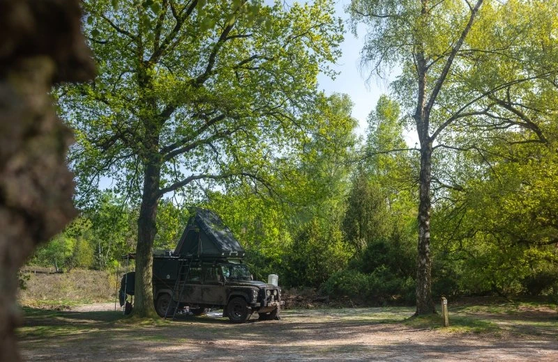 Maiferien Heidefeldplatz