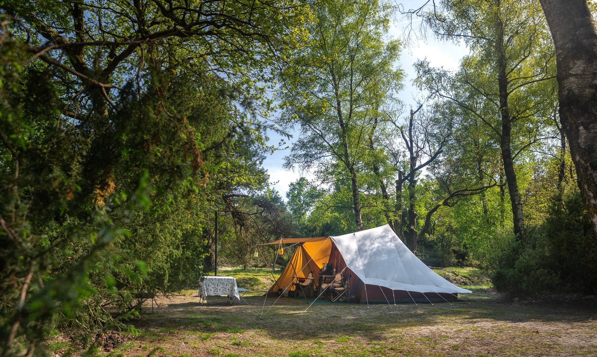 20240505 meuleman bloemen voorjaar lr robbaas 15
