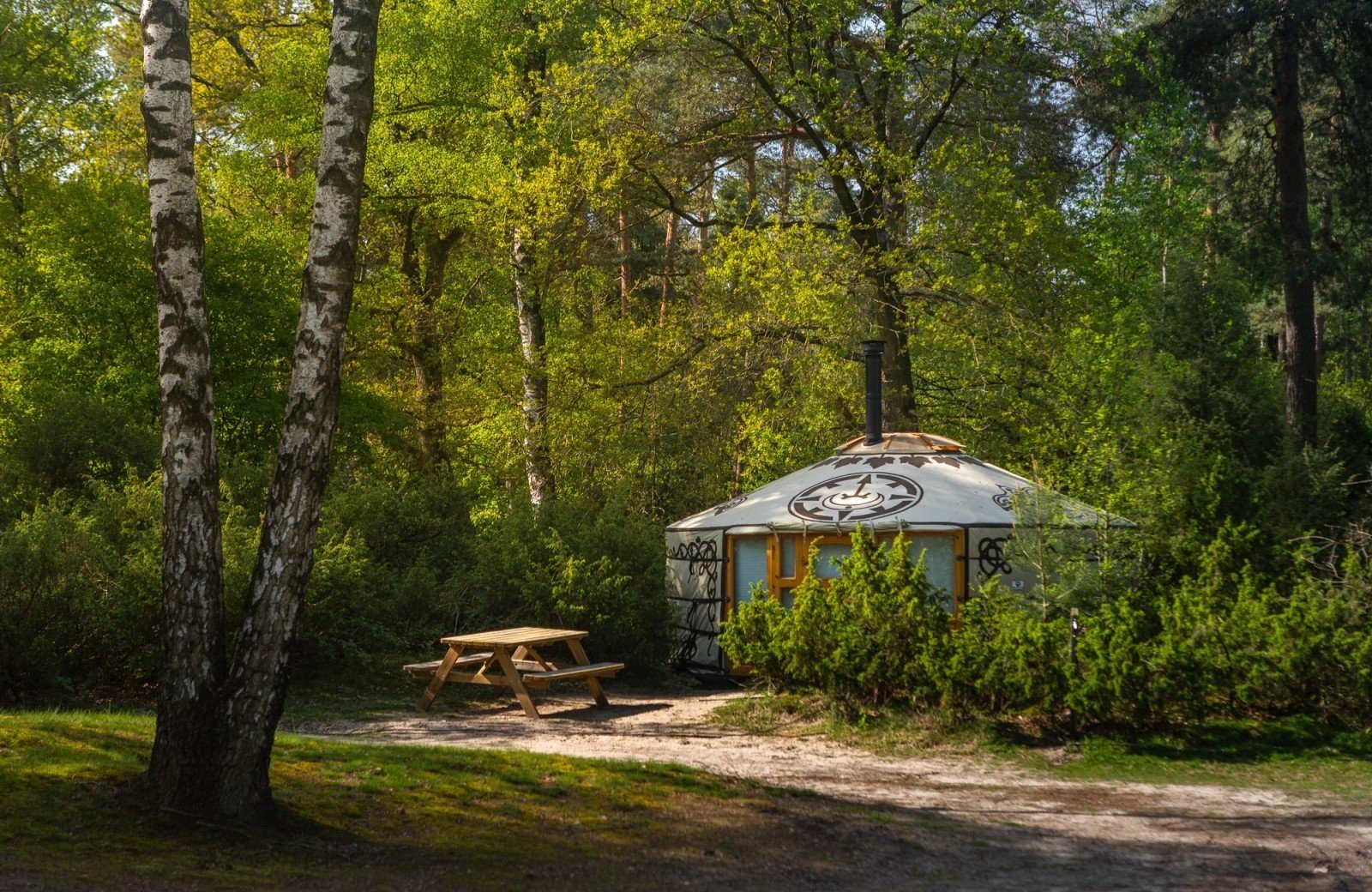 20240505 meuleman bloemen voorjaar lr robbaas 22 1
