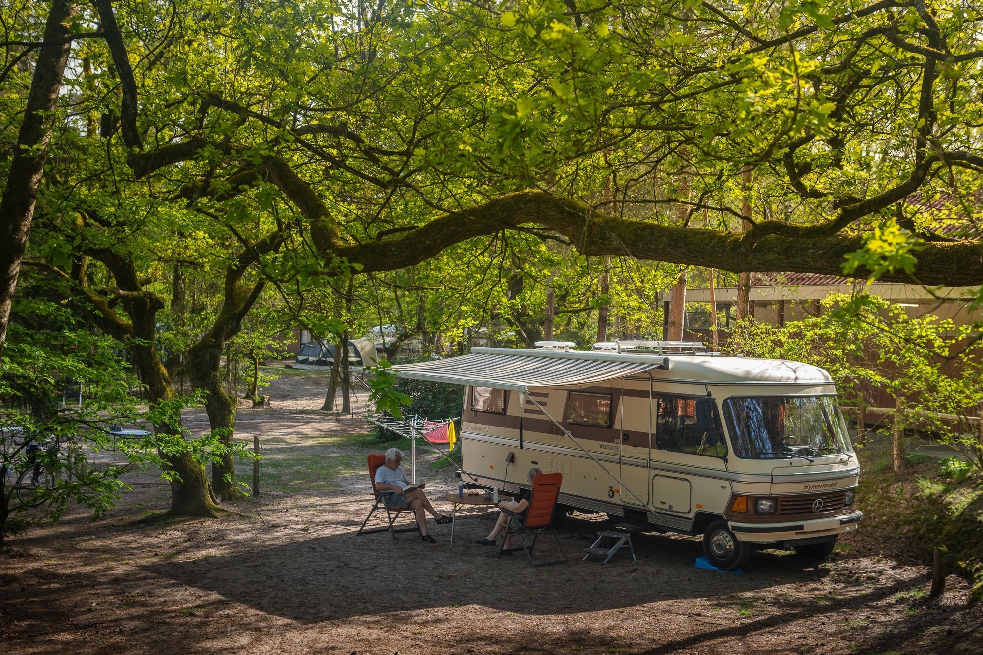 Frühjahr Naturplatz