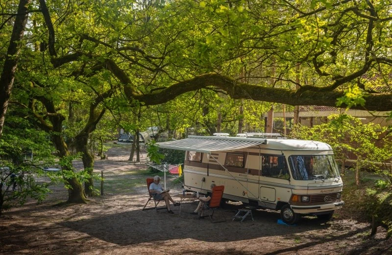 Frühjahr Naturplatz