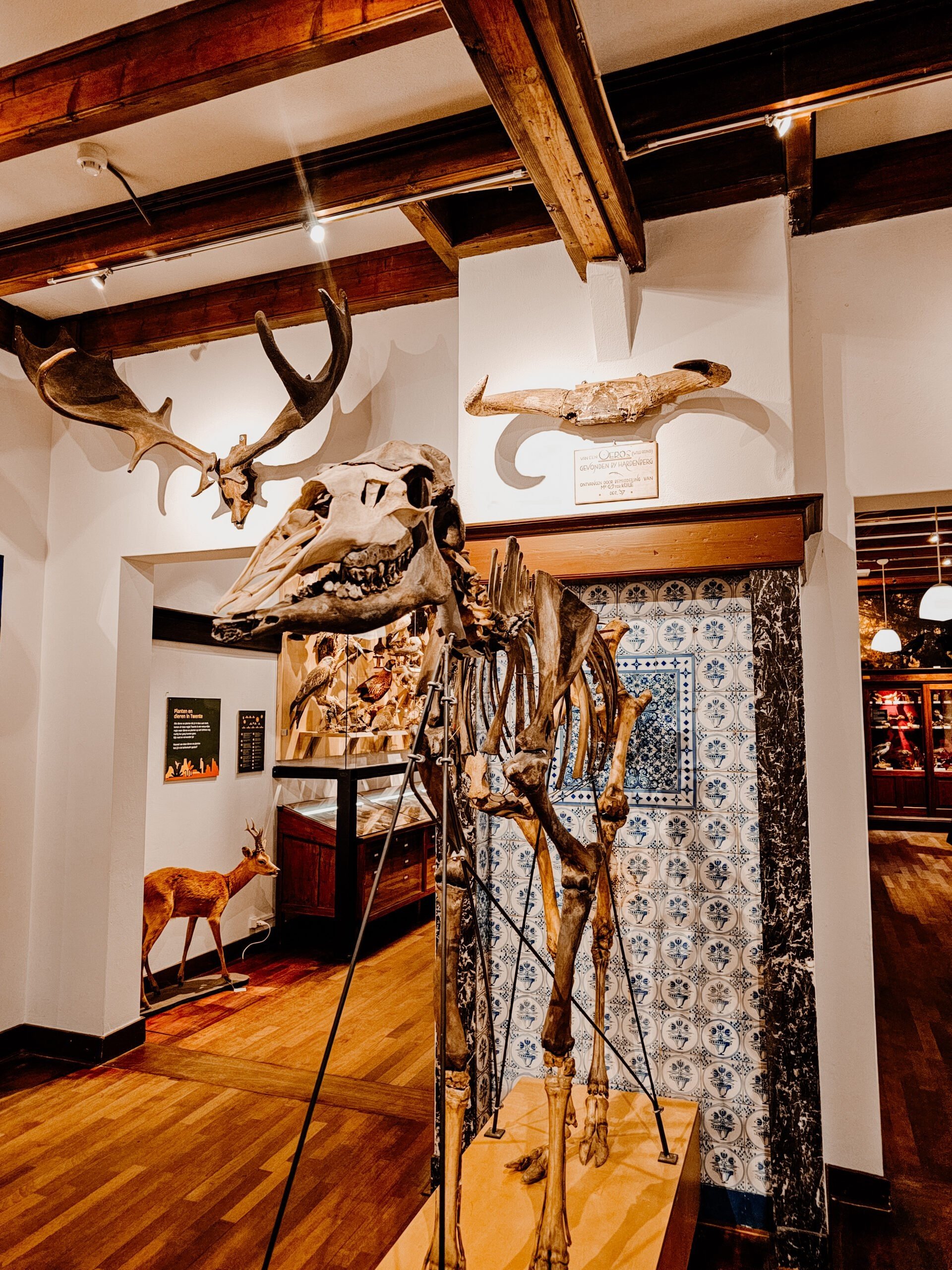 Gezinsvriendelijke uitjes